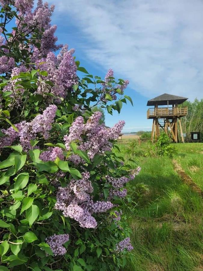 Villa Agroturystyka Ruta Nad Zalewem Siemianowka à Luka Extérieur photo